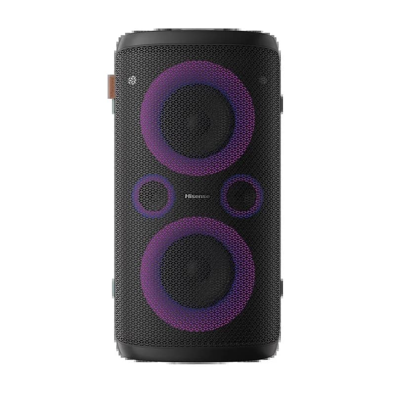 Hisense Audio 110HP 300W 4 SPK 2 MIC
